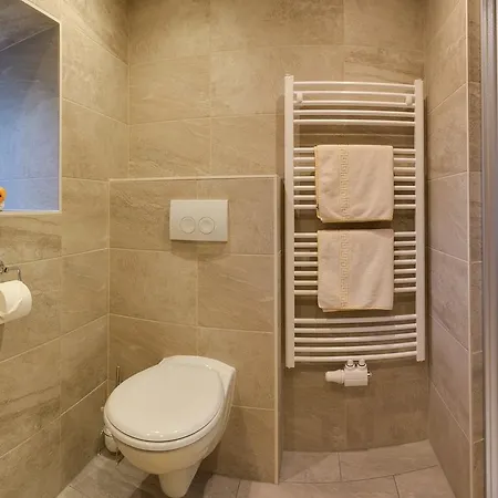 מלון דירות Albert'n Haus 4*